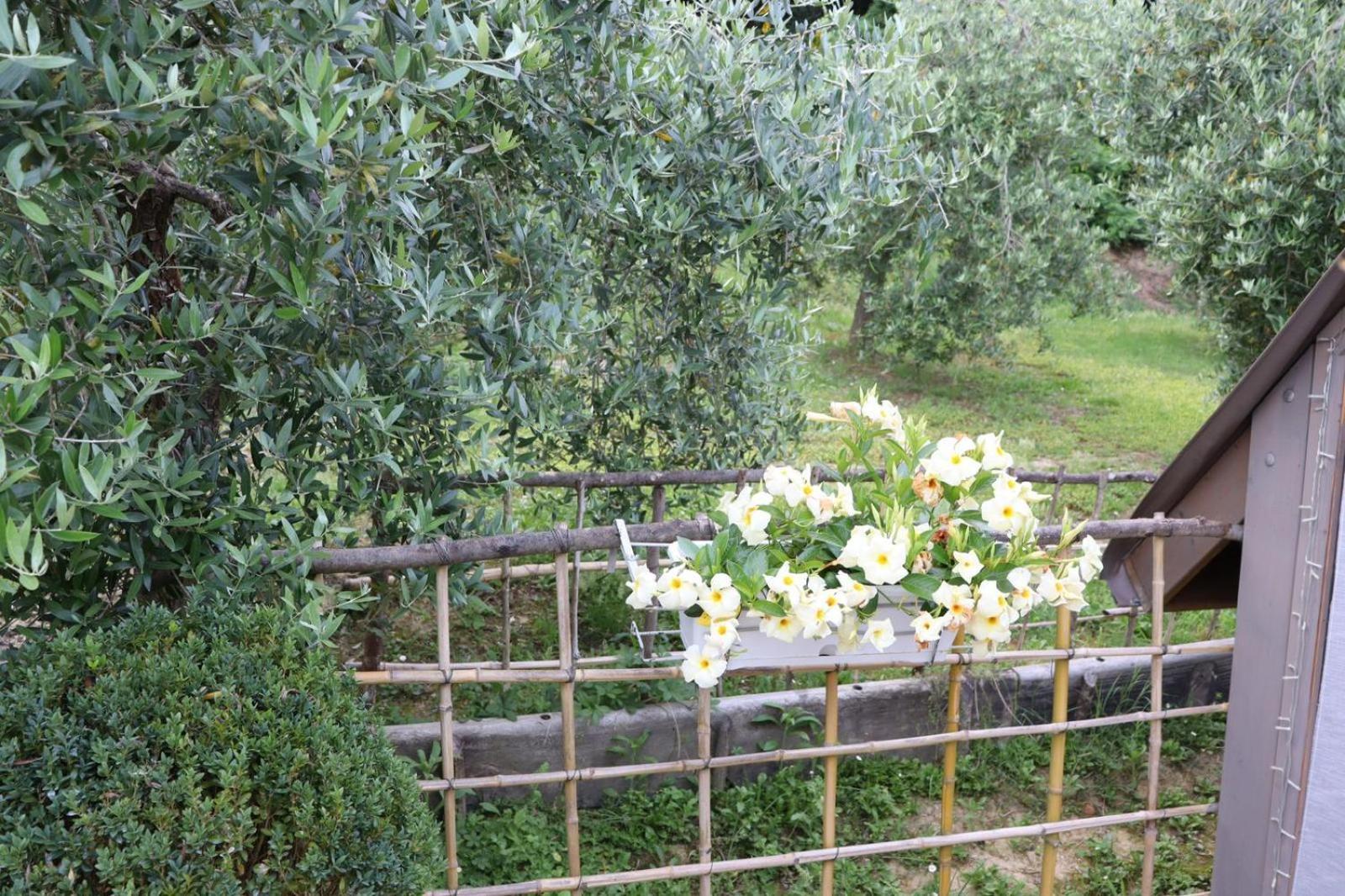 Cevoli Country Resort Lari المظهر الخارجي الصورة