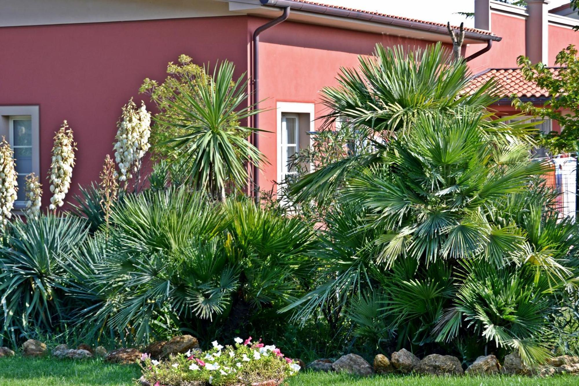 Cevoli Country Resort Lari المظهر الخارجي الصورة