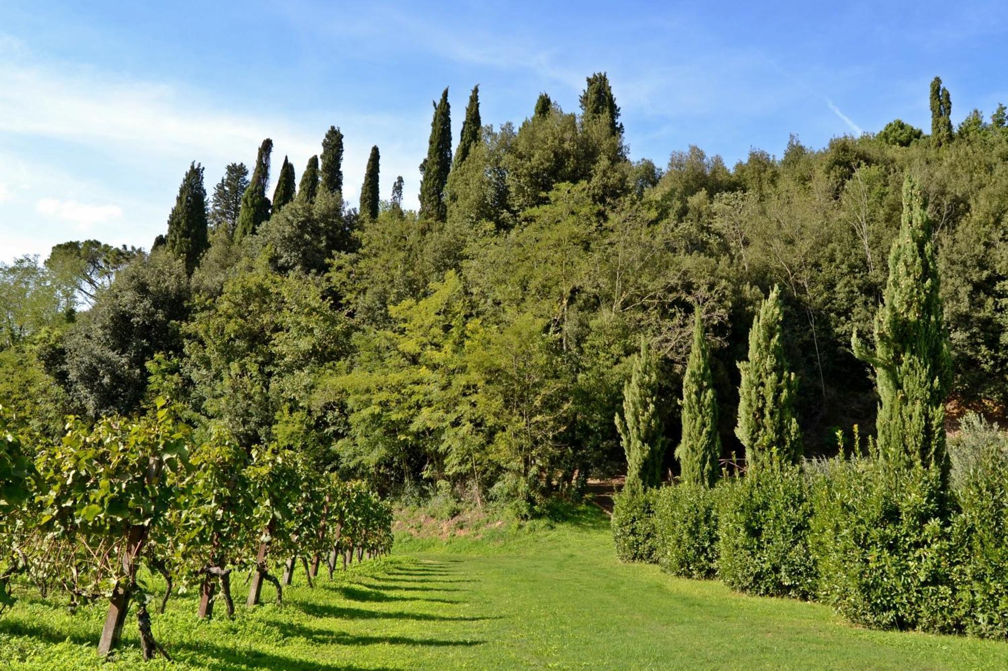 Cevoli Country Resort Lari المظهر الخارجي الصورة