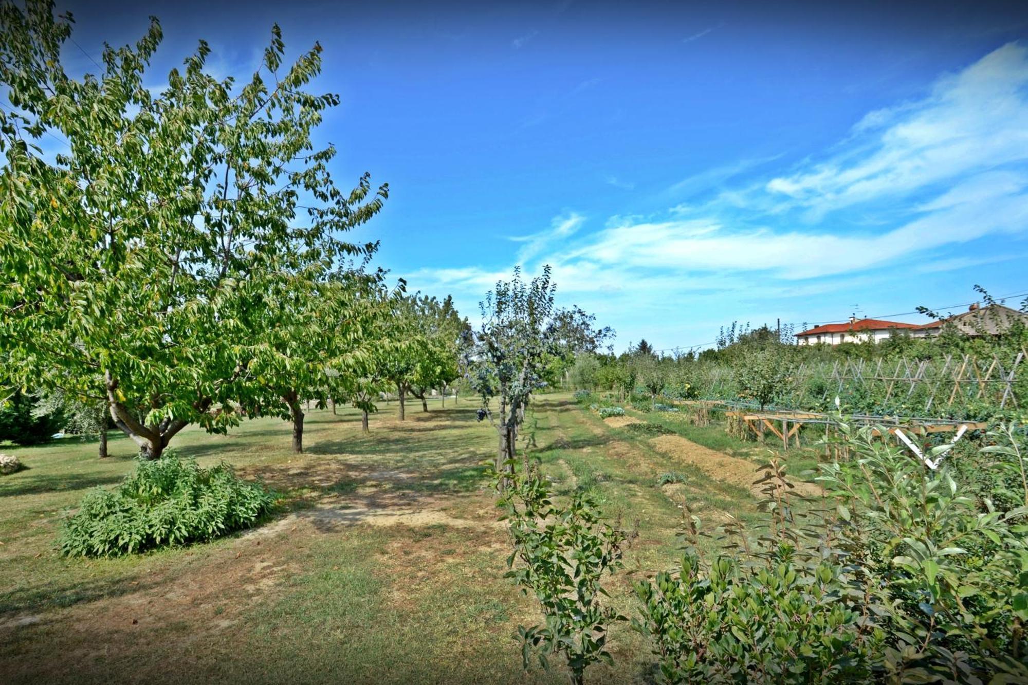 Cevoli Country Resort Lari المظهر الخارجي الصورة